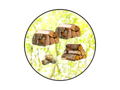 Bestseller (3 Sterne)