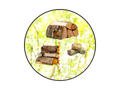 Der kleine Heizlüfter (1,5 Sterne)